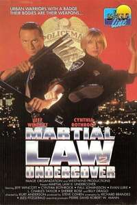 Martial Law II: Undercover - Poster