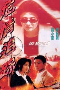 Yes Madam 5 - Poster
