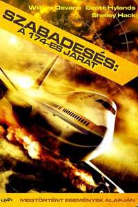 Falling from the Sky: Flight 174 - Poster
