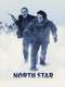North Star