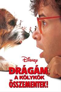 Honey  I Shrunk the Kids - Posters