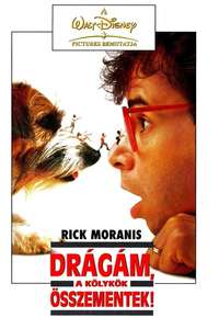 Honey  I Shrunk the Kids - Posters