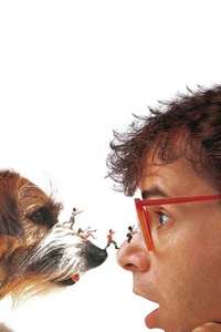 Honey  I Shrunk the Kids - Posters