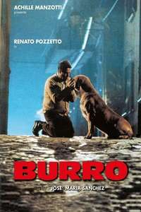 Burro - Poster