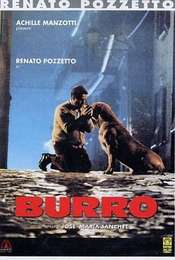 Burro