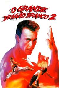 Bloodsport II - Poster