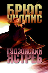 Hudson Hawk - Poster
