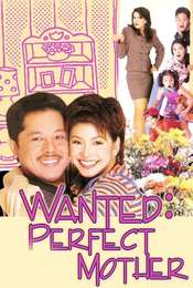Wanted Perfect Mother