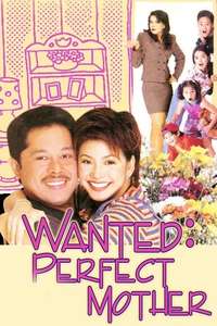 Wanted Perfect Mother - Poster