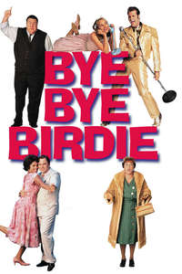 Bye Bye Birdie - Poster