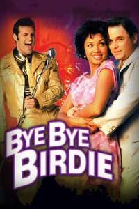 Bye Bye Birdie - Poster
