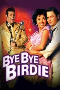 Bye Bye Birdie - Poster