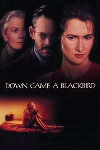Down Came a Blackbird - Poster