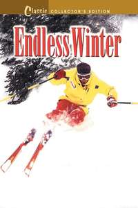 Endless Winter - Poster