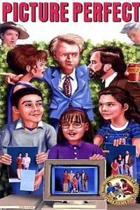 Picture Perfect - Poster