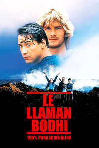 Point Break - Poster