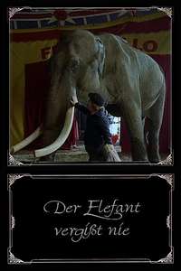 The Elephant Never Forgets - Poster