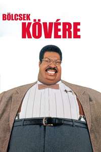 The Nutty Professor - Posters