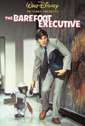 The Barefoot Executive