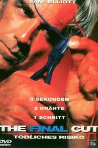 The Final Cut - Poster