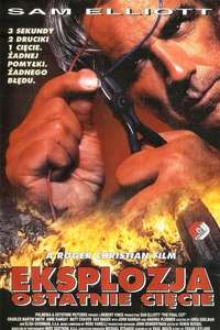 The Final Cut - Poster