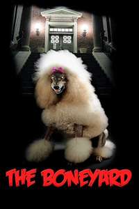 The Boneyard - Poster