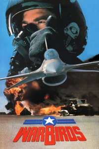 Warbirds - Poster