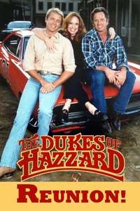 The Dukes of Hazzard: Reunion! - Poster