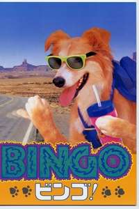 Bingo - Poster