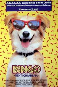 Bingo - Poster
