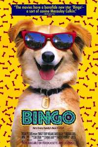 Bingo - Poster