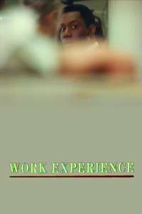 Work Experience - Poster
