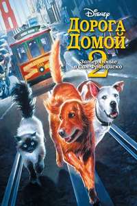 Homeward Bound II: Lost in San Francisco - Poster