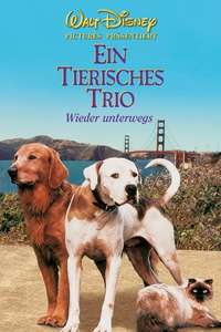 Homeward Bound II: Lost in San Francisco - Poster