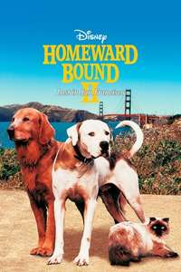 Homeward Bound II: Lost in San Francisco - Poster