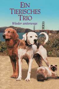 Homeward Bound II: Lost in San Francisco - Poster