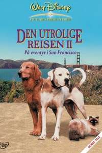Homeward Bound II: Lost in San Francisco - Poster