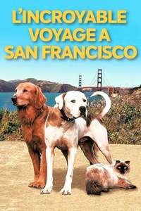 Homeward Bound II: Lost in San Francisco - Poster