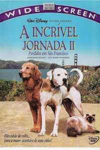 Homeward Bound II: Lost in San Francisco - Poster