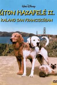 Homeward Bound II: Lost in San Francisco - Poster