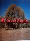 Motion and Emotion: The Road to Paris  Texas