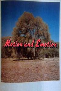 Motion and Emotion: The Road to Paris  Texas - Poster