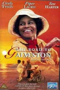 The Road to Galveston - Poster