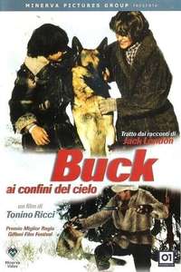 Buck at the Edge of Heaven - Poster