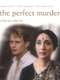 The Perfect Murder
