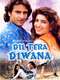 Dil Tera Diwana