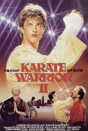 Karate Warrior 2