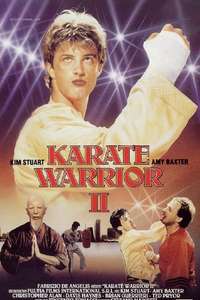 Karate Warrior 2 - Poster
