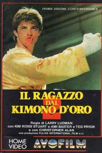 Karate Warrior 2 - Poster