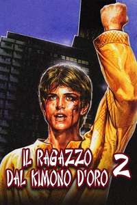 Karate Warrior 2 - Poster